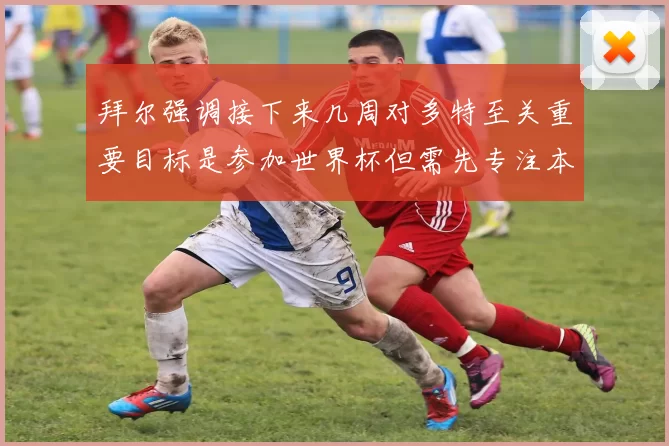 拜尔强调接下来几周对多特至关重要目标是参加世界杯但需先专注本赛季表现